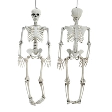 Living and Home Halloween Realistic Full Body Skeleton  Posable Prop - 90cm