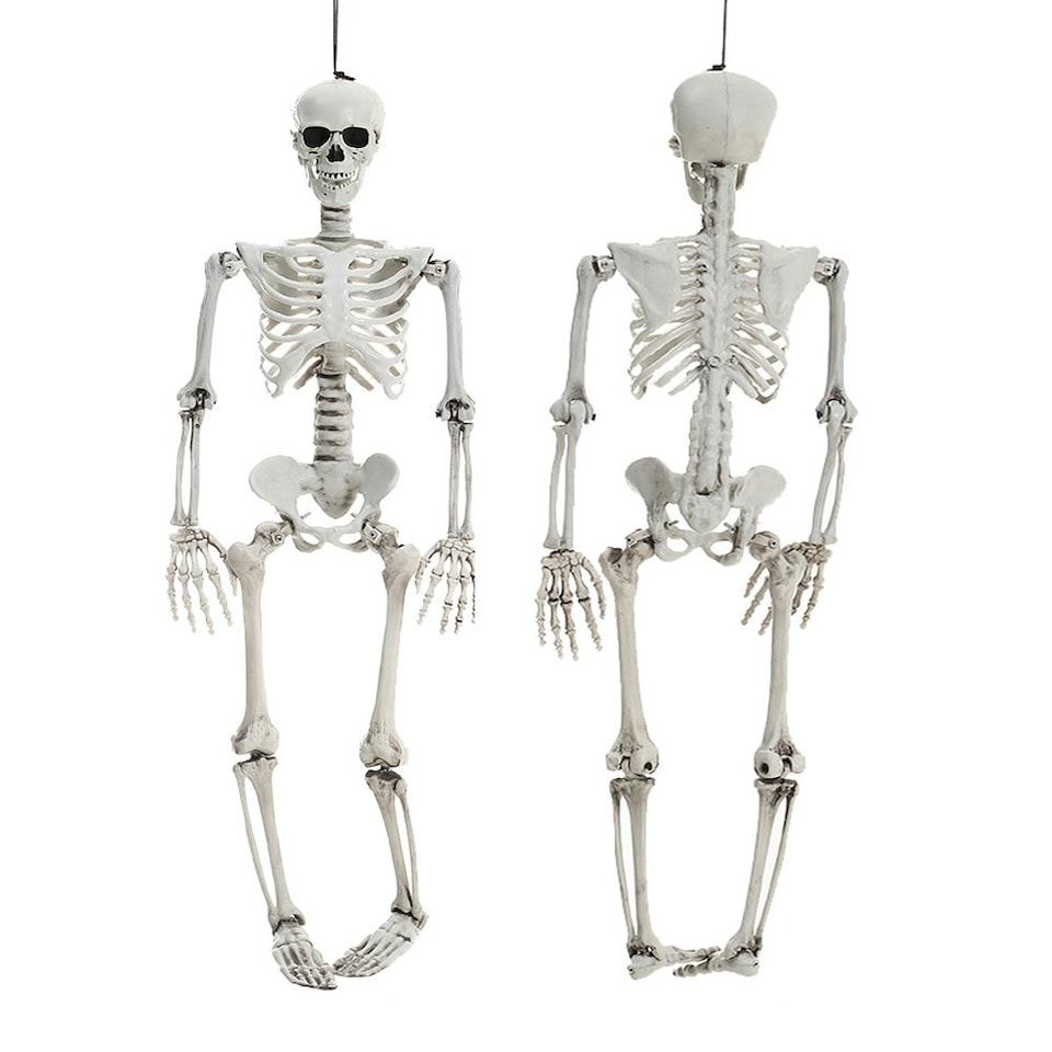 image 1 of Living and Home Halloween Realistic Full Body Skeleton  Posable Prop - 90cm