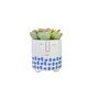image 9 of KitchenCraft Planter Blue Dolomite Happy Face Blue