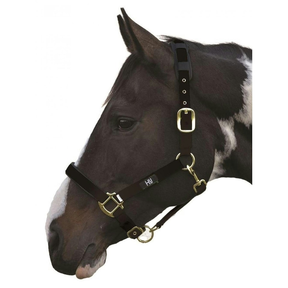 Hy Deluxe Padded Head Collar - Black - XS