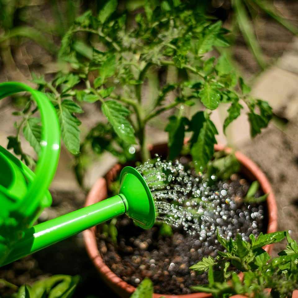image 1 of Bigjigs Toys Childrens' Gardening Starter Pack, With Green Bucket And Watering Can