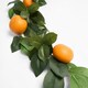 image 5 of OHS Natural Home Fireplace Table Decor Artificial Orange Garland, 180cm - Orange