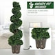 image 4 of Outsunny 2 Pack Artificial Boxwood Spiral Tree Decorative Plant w/ Pot