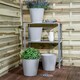 image 2 of Studio 4x 26cm Round Plastic Planter Grey