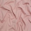 Blush Rose