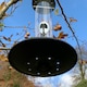 image 8 of Bird Feeder Seed Catcher Tray (Set of 4)