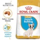 image 1 of Royal Canin French Bulldog Puppy Dry Food - 5 x 3 kg (15 kg) | Multi | 5 x 3kg | 5