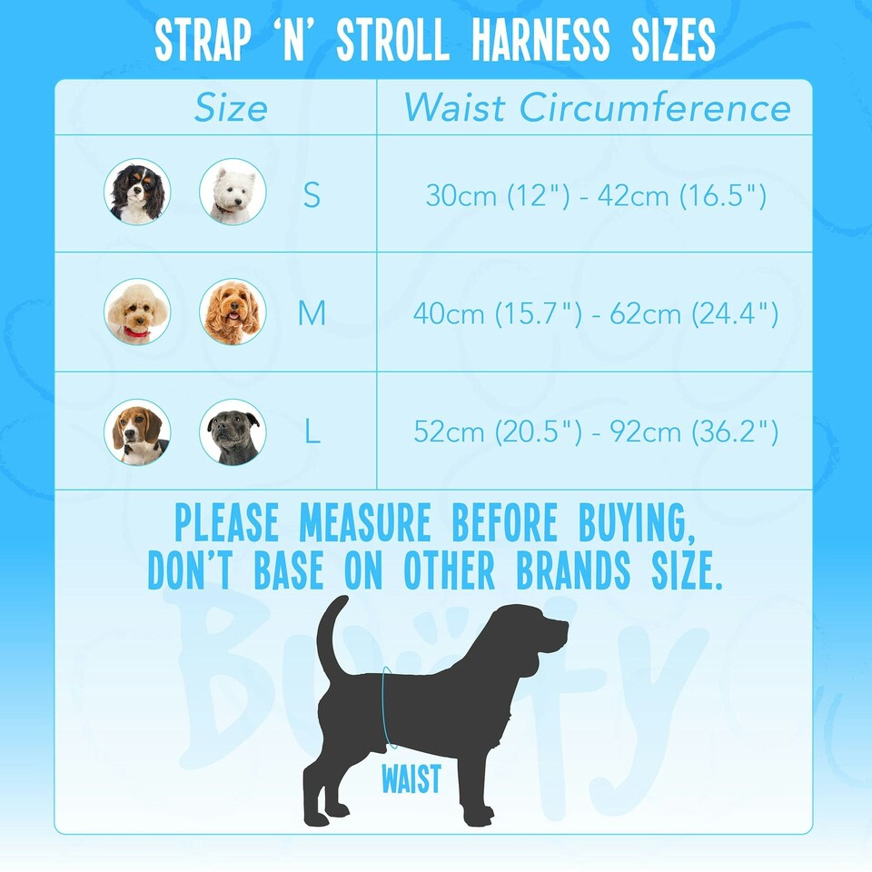 image 1 of Dog Harness - Bunty Strap 'N' Stroll Black | M