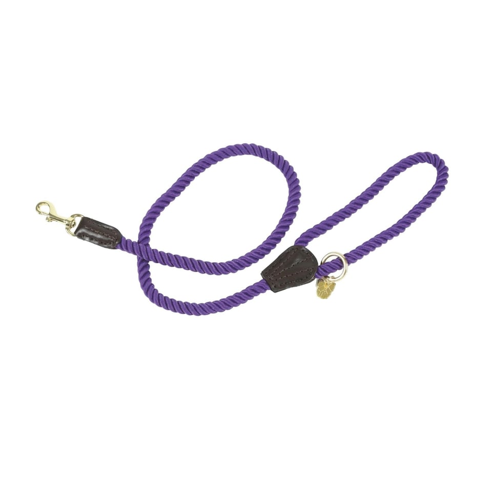 image 1 of Digby & Fox Twisted Dog Lead - Purple - One Size