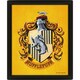 image 2 of Harry Potter Hufflepuff 3D Framed Picture - Yellow - 25cm x 20cm