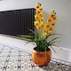 image 2 of 90cm Yellow Flower Orchid Plant