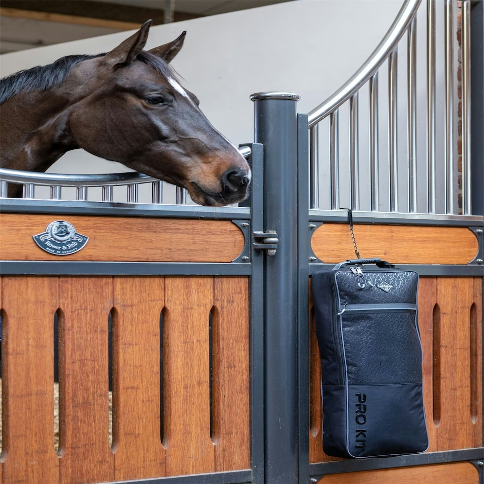 image 1 of LeMieux Elite Pro Bridle Bag Blue | One Size