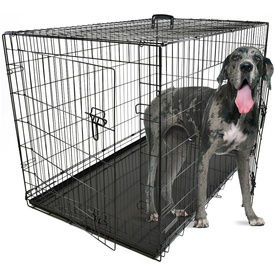 image 1 of DogCrates+ 46-Inch XXL Foldable Dog Crate with 2 Doors, Heavy-Duty Metal Frame & Removable Tray – Black Black | One Size