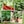 Green, Red