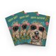 image 1 of Cockapoo Sunglasses Birthday Card Funny Dog Lover Set of 3 Greeting Cards Blank