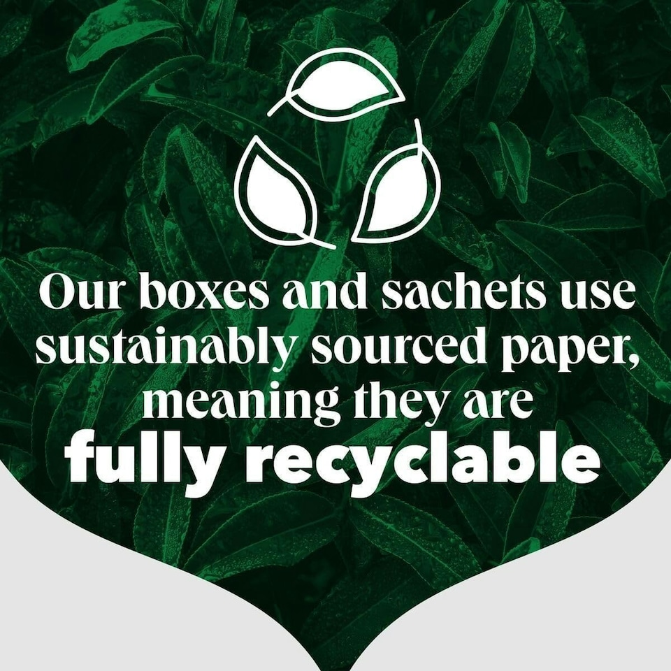 image 1 of PG Tips Original, Black Teabags, Individually Wrapped String & Tag 200 Teabags Biodegradable