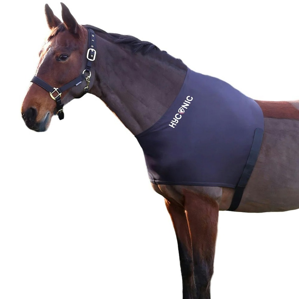 image 1 of HYCONIC Lycra Horse Shoulder Vest - Charcoal - Cob
