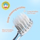 image 4 of Brush Baby WildOnes Tiger Kids Electric Rechargeable Toothbrush