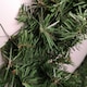 image 10 of 40cm Plain Green Canadian Pine Artificial Christmas Wreath