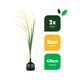image 2 of Gardenwize 3pc Solar Setaria Viridis Stake Lights