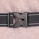 image 8 of Adjustable Double Pocket Waist Running Jogging Belt Phone Holder | Black
