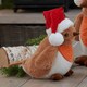 image 2 of 40cm Large Plush Christmas Robin Decoration with Santa Hat