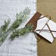 image 1 of Artificial Silver Wattle Leaf - Plastic - L22 x W22 x H73 cm - Green