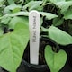 image 2 of Garland Plant Labels Plastic Outdoor Pack of 50 Durable 13cm (5")