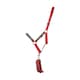 image 1 of Little Knight Horse Headcollar and Leadrope Set - Red/Charcoal Grey - Full