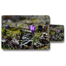 Purple crocus flowers, Colchicum, in a green grass meadow. Close up spring or autumn flower bloom in nature (Placemat & Coaster Set)