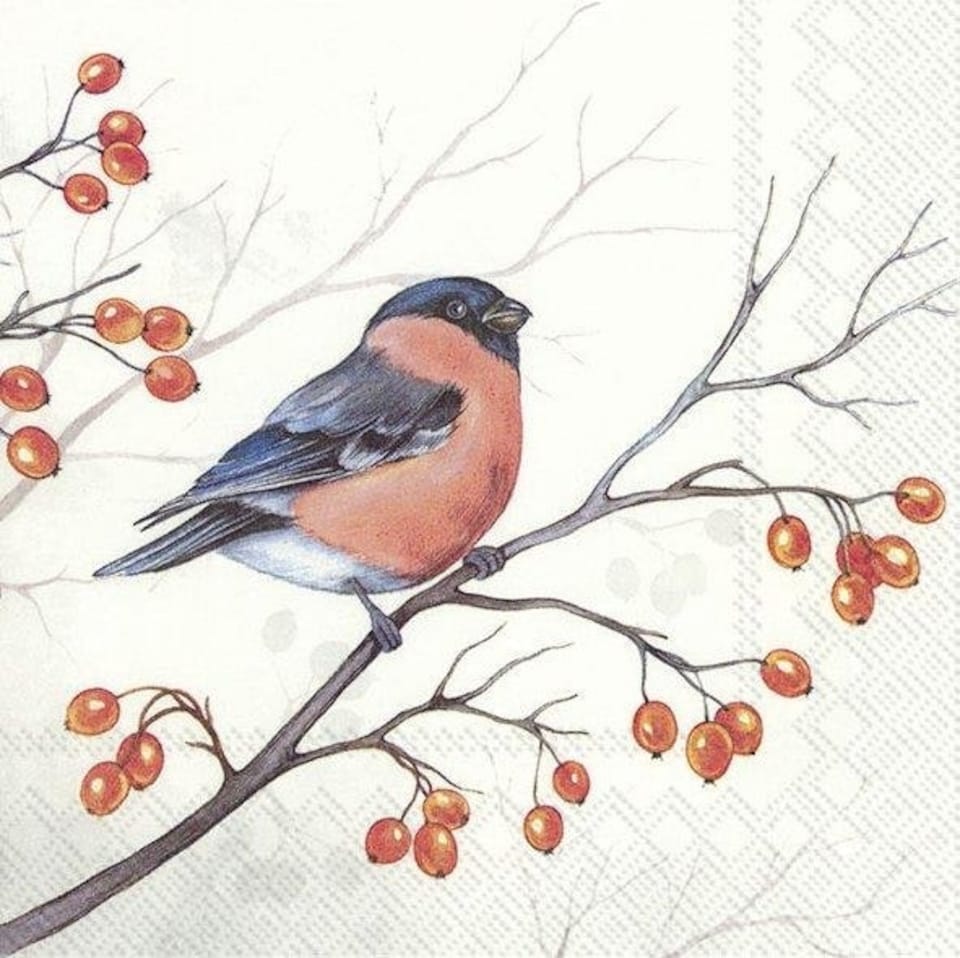 IHR Lunch Napkins Dreaming Winter Bird 33cm 3ply 20 Pack