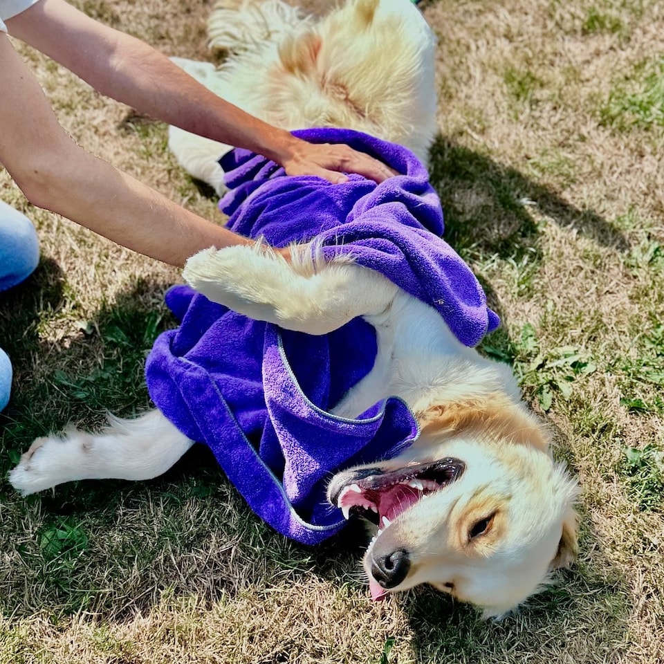 image 1 of Henry Wag Large Purple Pet Cleaning Towel