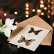 image 4 of Sherman Denton Art Card Promethea Silk Moth Male