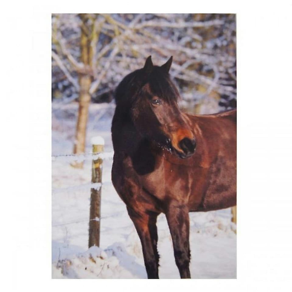 Kevin Milner Horse In The Snow Christmas Card - Multicoloured - One Size