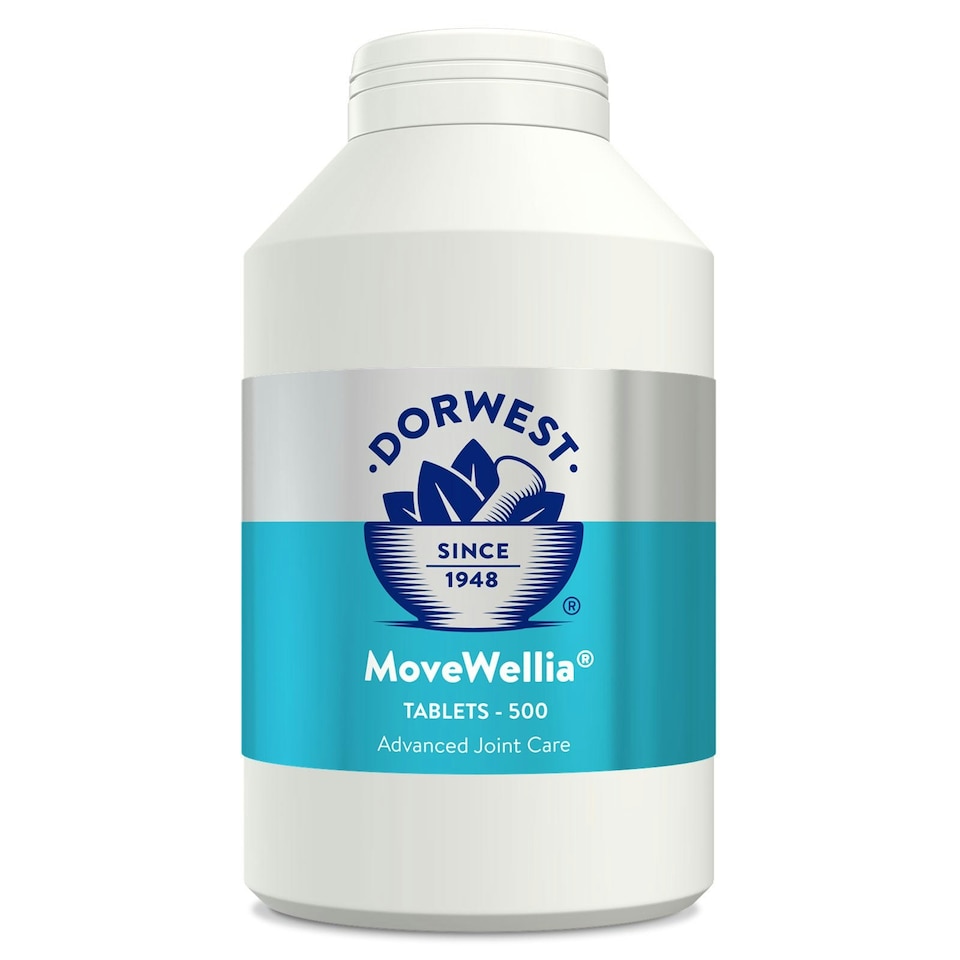 image 1 of Dorwest Movewellia Advanced Joint Care Tablets For Cats & Dogs - 500 Tablets