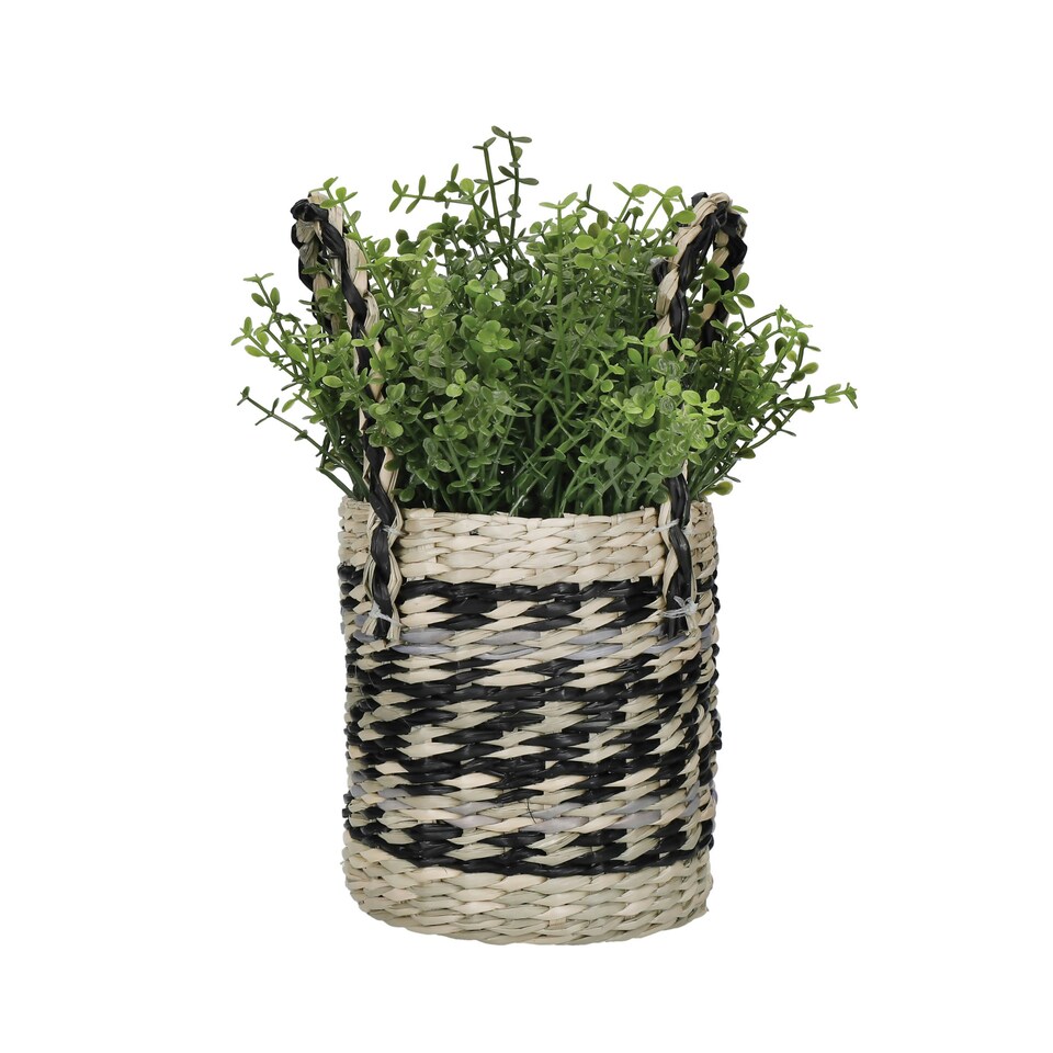 image 1 of KitchenCraft Plant Basket Mixed Seagrass Striped Multi