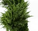 image 2 of 120cm Premium Artificial Spiral Cypress Topiary Tree