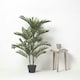 image 6 of Homescapes Areca Palm Tree in Pot, 120 cm Tall
