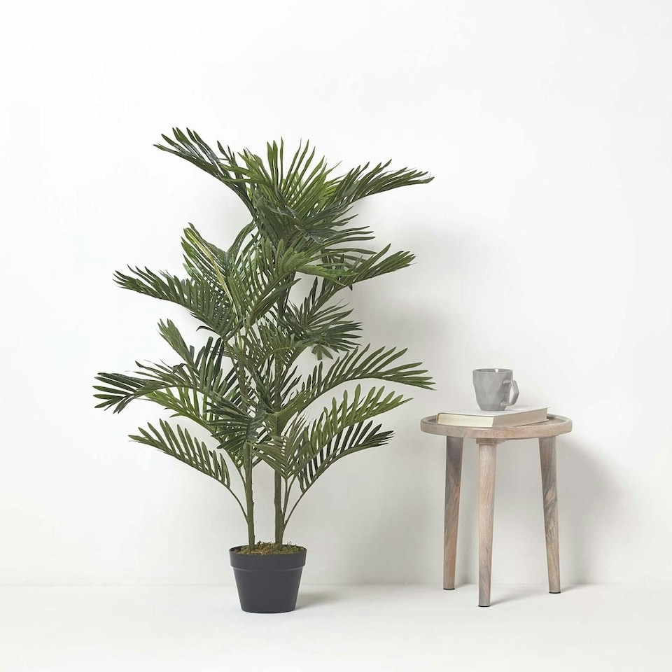 image 1 of Homescapes Areca Palm Tree in Pot, 120 cm Tall