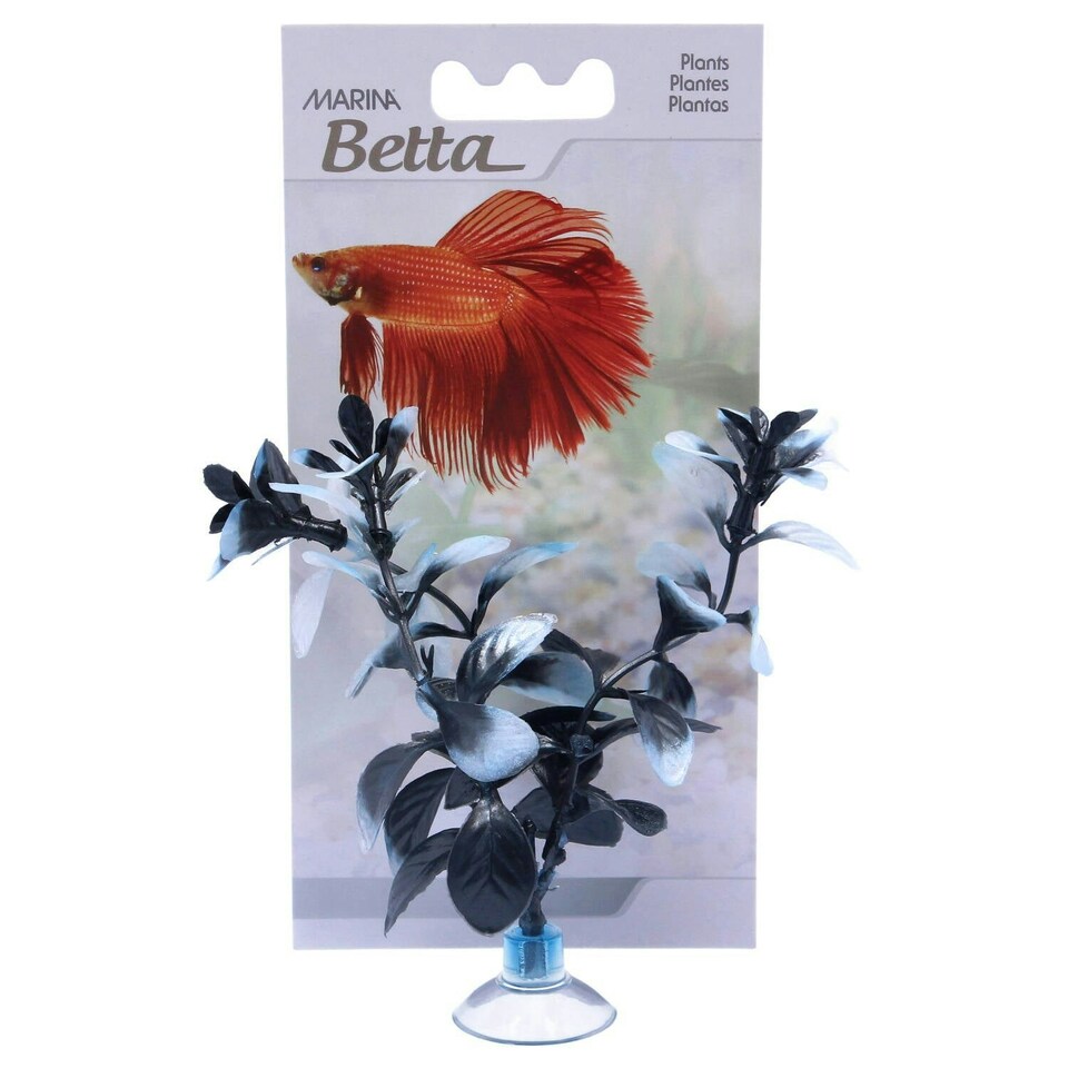 image 1 of Marina Betta Plant Red Ludwiga 12.7cm