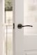 image 3 of Golden Grace Indiana Style Modern Door Handles on Round Rose in Polished Black Nickel Finish with Ball Bearing Hinges & 64mm Tubular Latch | Black | 1 Set