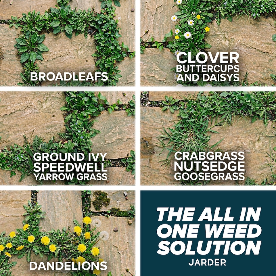 image 1 of Jarder Path and Patio Weed Killer 5L
