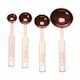 image 1 of Alchemist Rose Gold Measuring Spoons