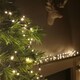 image 3 of 6m 240 LED TreeBrights Multi-Action Christmas String Lights with Timer in Warm White