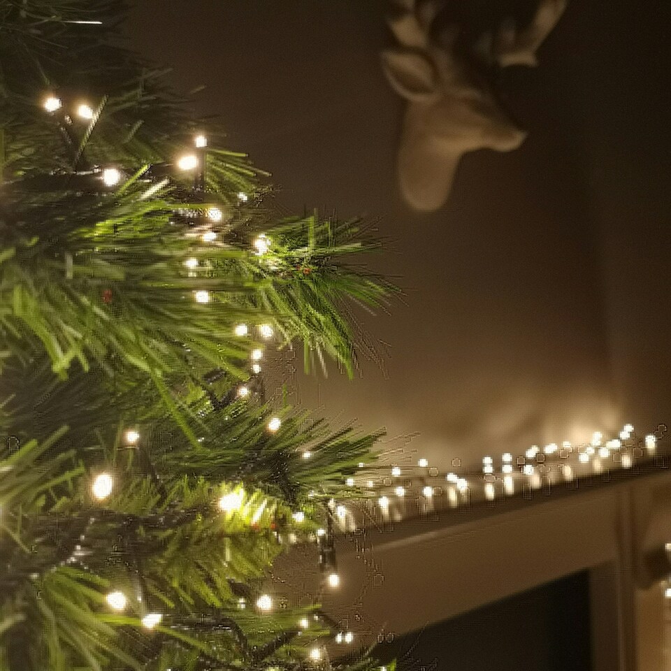 image 1 of 6m 240 LED TreeBrights Multi-Action Christmas String Lights with Timer in Warm White