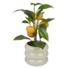 Artificial Citrus Lemon Fruit Tree Flower Pot | Cream | Cream gloss | 1