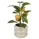 image 1 of Artificial Citrus Lemon Fruit Tree Flower Pot | Cream | Cream gloss | 1