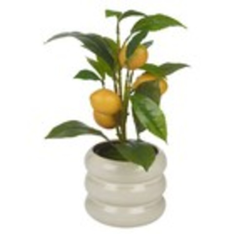 image 1 of Artificial Citrus Lemon Fruit Tree Flower Pot | Cream | Cream gloss | 1