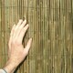 image 2 of Primrose Bamboo Cane Natural Garden Screening Roll Privacy Screen 4m x 1m