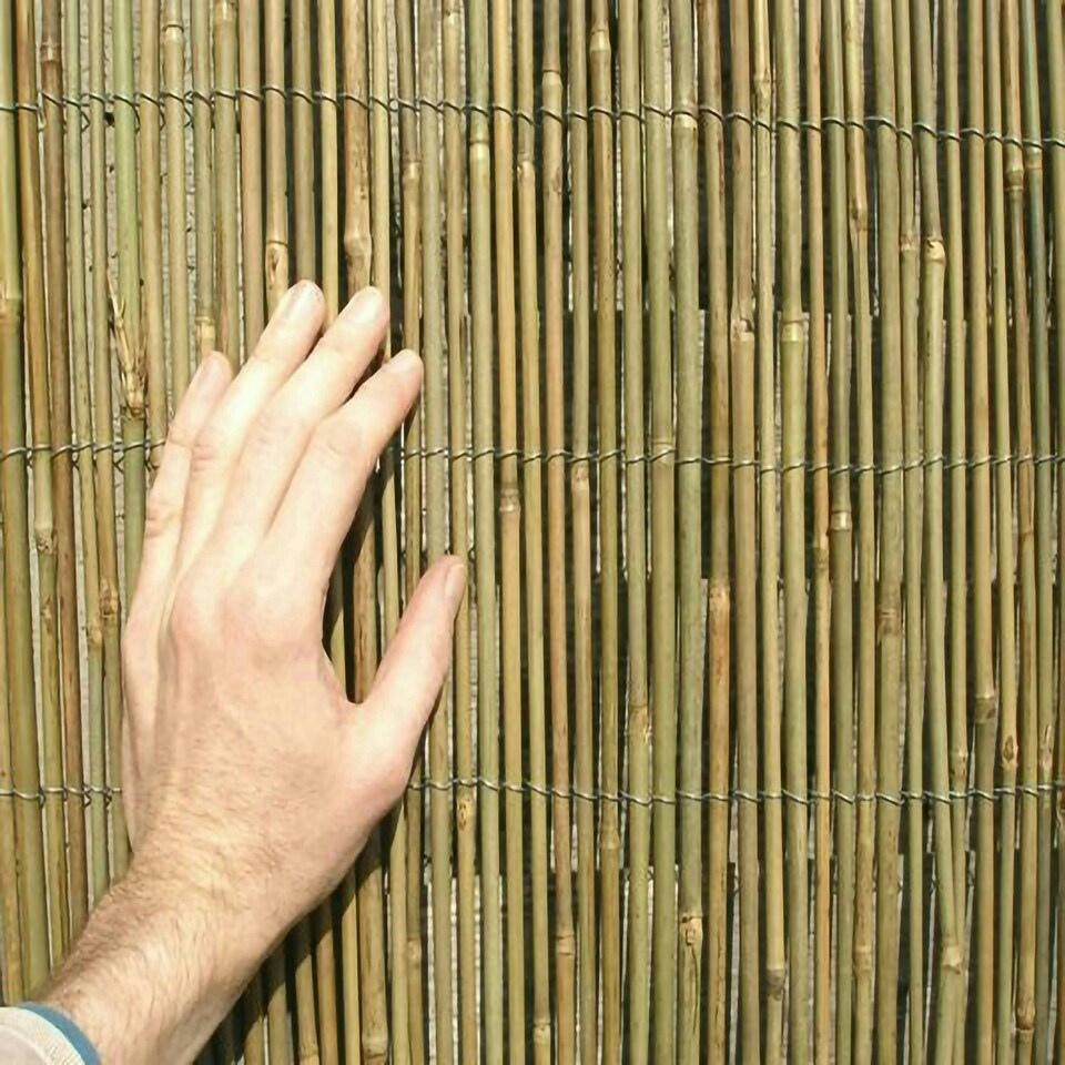 image 1 of Primrose Bamboo Cane Natural Garden Screening Roll Privacy Screen 4m x 1m
